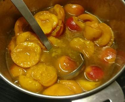 Abricots au sirop sans alcool