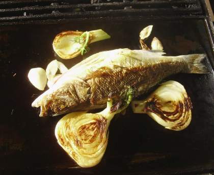 Bar grillé aux herbes