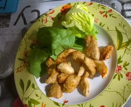 Beignets de poulet japonais (karaage)