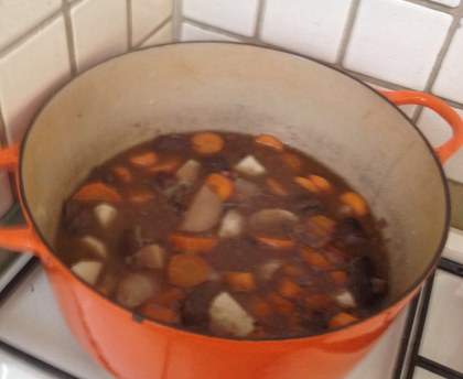 Bourguignon de canard