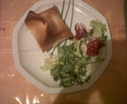 Brick de saumon mozzarella tomate