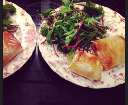 Brick saumon frais et fromage frais (light)