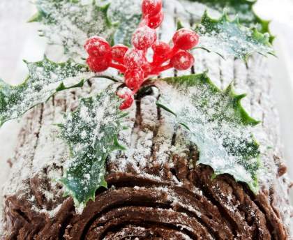 Bûche au chocolat
