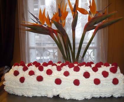 Bûche de Noël à la mousse de framboises