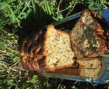 Cake abricots frais et noix