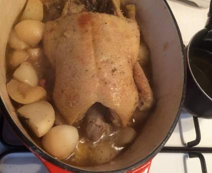 Canard en cocotte aux navets