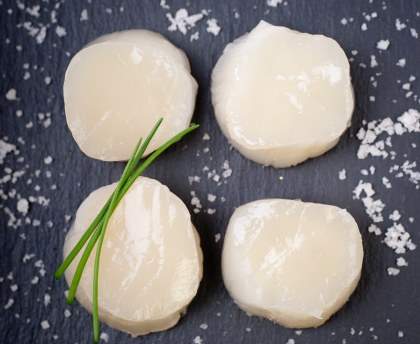 Carpaccio de saint-jacques au naturel