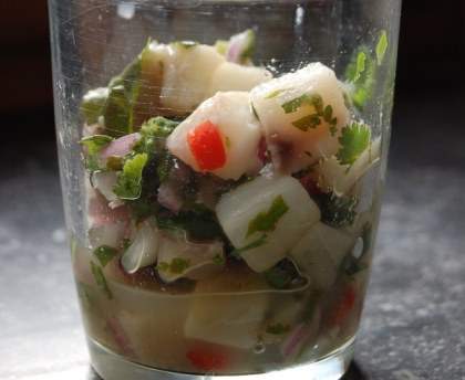 Ceviche (Costa Rica)