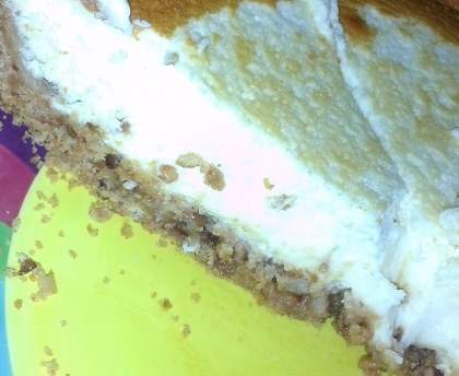 cheesecake à l'américaine nature
