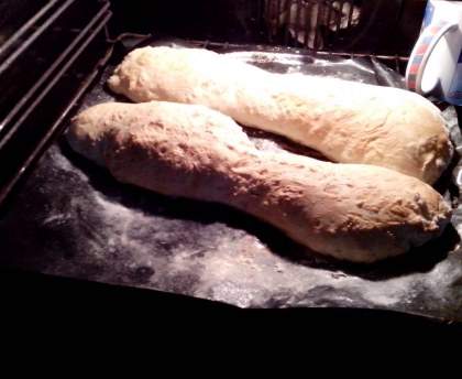 Ciabatta à l'estragon (avec machine à pain)