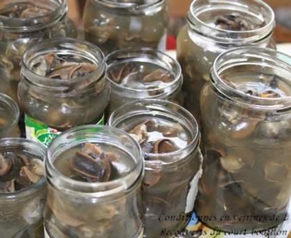 Conserves d'escargots