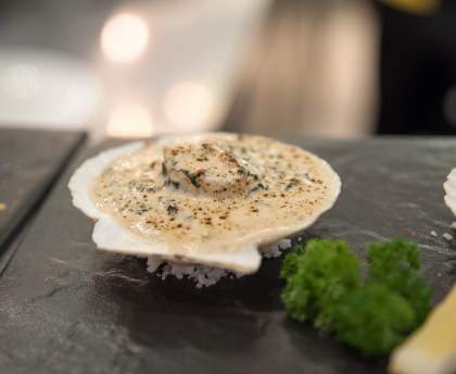Coquille Saint-Jacques à la béchamel maison