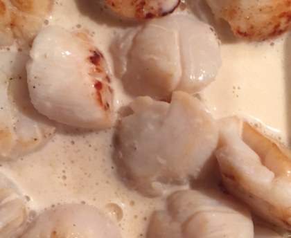 coquille st jacques au pineau