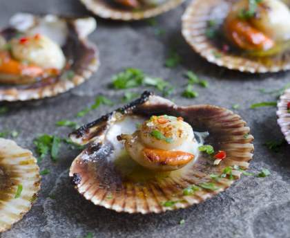 coquilles saint jacques au noilly prat