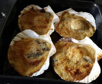 coquilles Saint-Jacques gratinées