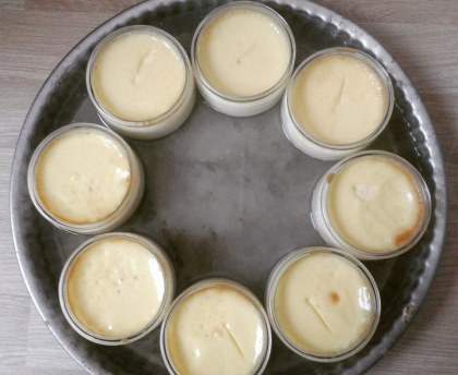 Crèmes aux œufs Vanille