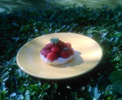 Délice de fraises et chantilly