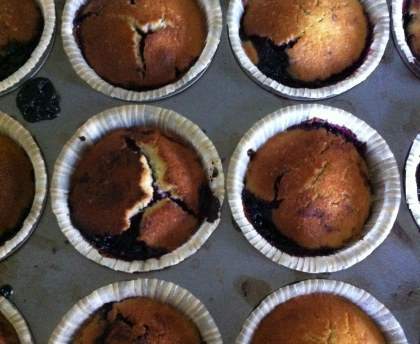 Délicieux muffins au cassis gluten free ! 