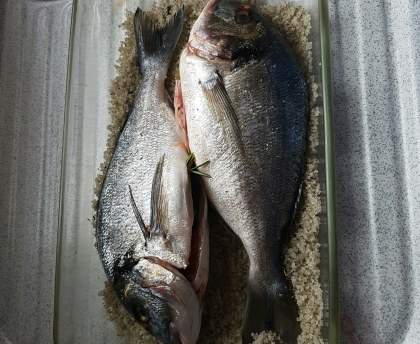 Dorade en croûte de sel