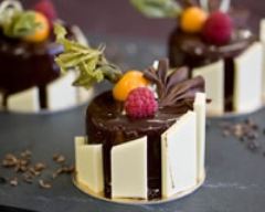 Entremets chocolat framboise