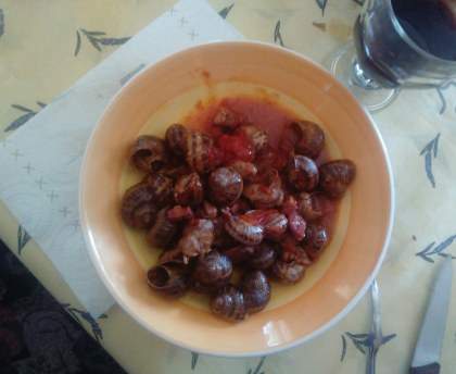 Escargots à la sauce Catalane