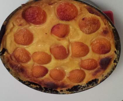 Flan aux Abricots maison 