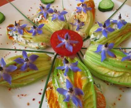 Fleurs de courgettes farcies aux herbes et chèvre frais