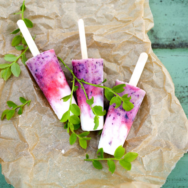 Frozen yoghourt aux myrtilles 