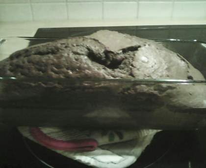 Gateau au yaourt au chocolat et à la noix de coco