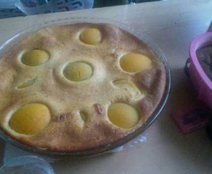Gâteau flan aux abricots