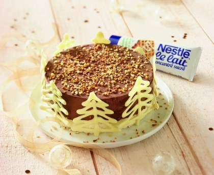 Gâteau glacé de noël chocolat, pralin coco