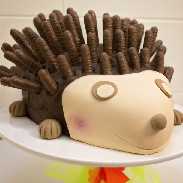 Gâteau hérisson Mikado 