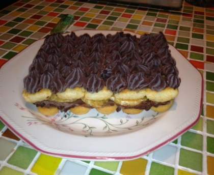 Gâteau rapide chocolat clémentines