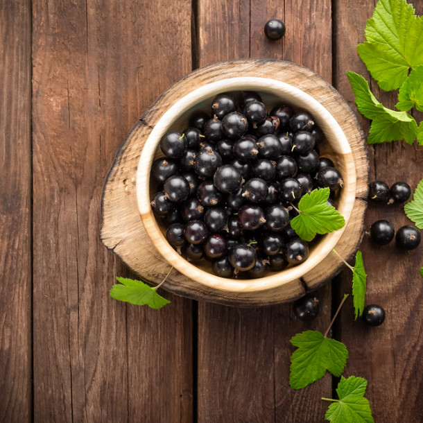 Gelée de cassis à l'extracteur de jus