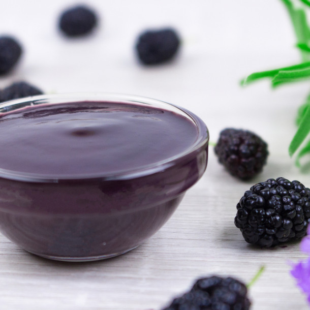Gelée de mûres à la centrifugeuse