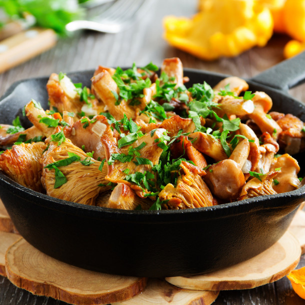 Girolle grise au vin rouge