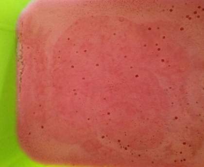 Glace à la fraise light
