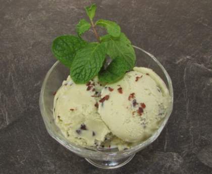 Glace à la menthe aux pépites de chocolat