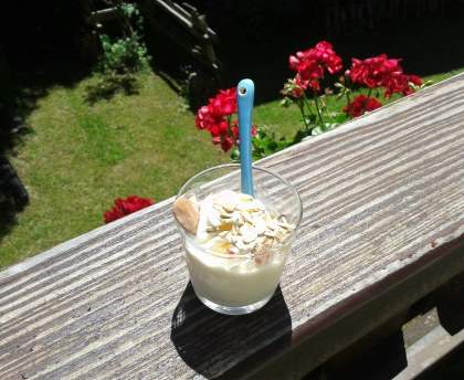 Glace au yaourt nature rapide et facile