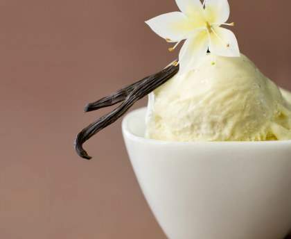 Glace vanille 