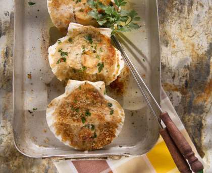 Gratin de St Jacques
