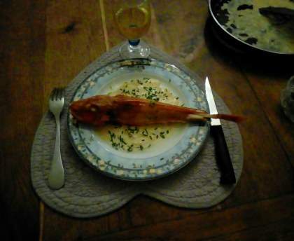Grondins rôtis et sa sauce crémeuse au vin blanc et au pastis