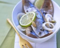 Harengs marinés aux épices et citron vert