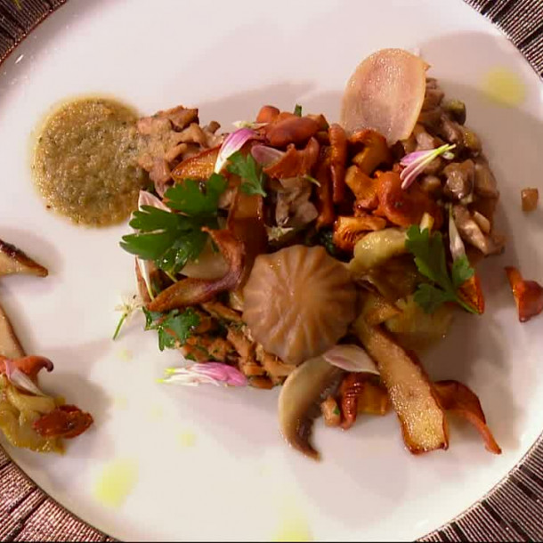 La cueillette de champignons en forêt