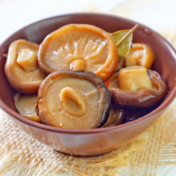 Lactaires marinés