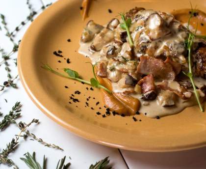 Lapin de Garenne aux champignons