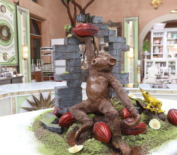 Le singe et les cabosses
