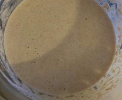 levain facile