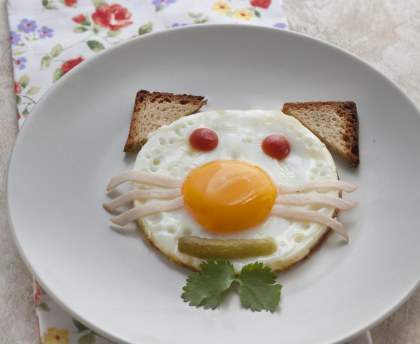 L'oeuf chat (pour les enfants)
