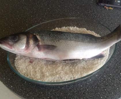 Loup (bar) au gros sel